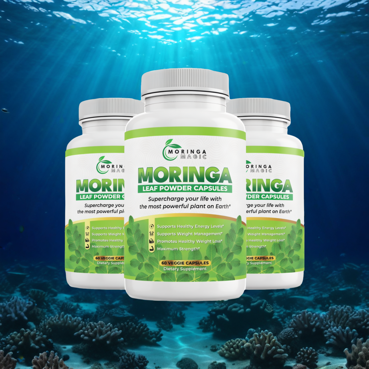 Moringa Magic - Exclusive 3 Bottle Special Discount