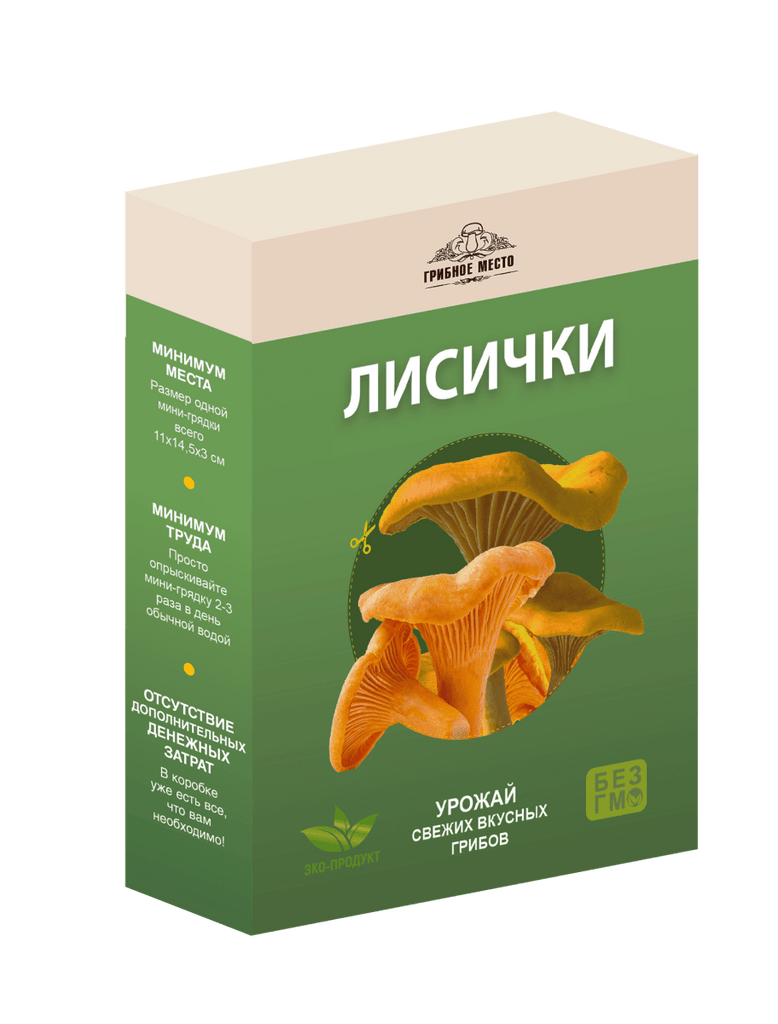 domashnyaya-gribnitsa